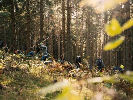 Mehrere Personen, die neue B&auml;ume einpflanzen
